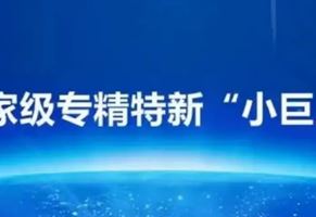 我司荣获国家级专精特新“小巨人”企业荣誉