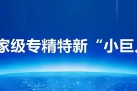 我司荣获国家级专精特新“小巨人”企业荣誉